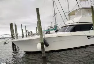 Thumbnail von Viking 53 Convertible