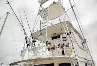 Thumbnail von Viking 53 Convertible