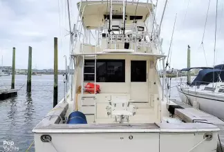 Thumbnail von Viking 53 Convertible