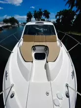 Thumbnail von Sea Ray 350 Sundancer Coupe