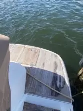 Thumbnail von Cranchi M44