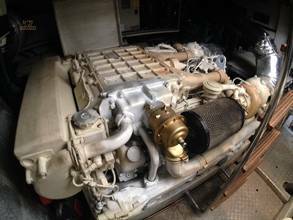 Thumbnail von Dominator 68S