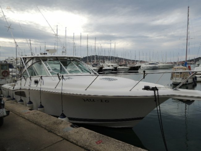 Thumbnail von Wellcraft 360