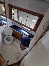 Thumbnail von Sealine 39 SC