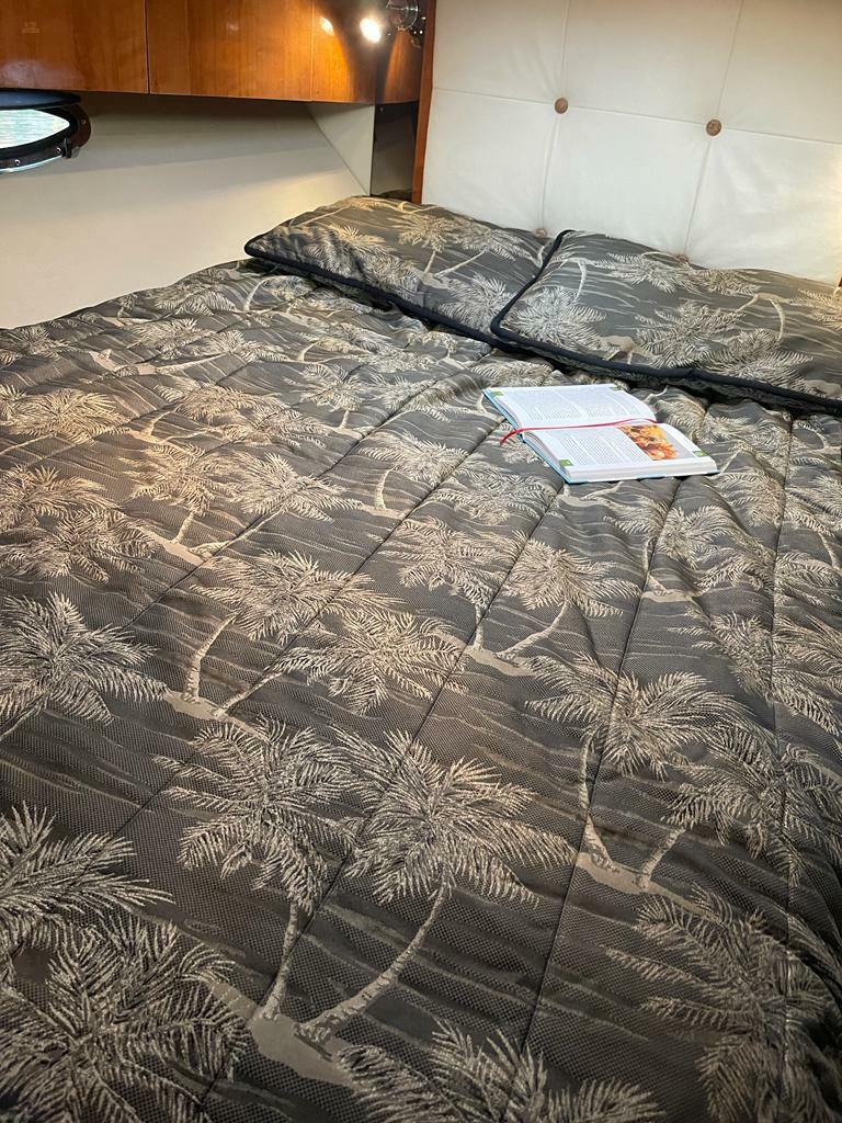 Thumbnail von Cruisers 330