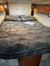 Thumbnail von Cruisers 330