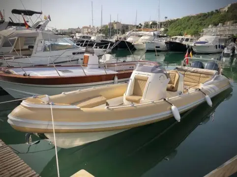 Cobra Nautique 9.7