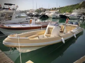 Thumbnail von Cobra Nautique 9.7