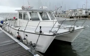 Thumbnail von Custom Catamaran