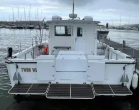 Thumbnail von Custom Catamaran