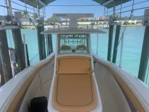 Thumbnail von Scout 350 LXF Sand Dollar Too