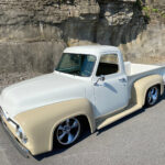 car-20459-1954-ford-f10015.jpeg