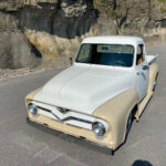 car-20459-1954-ford-f10017.jpeg