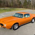 car-20465-1973-pontiac-firebird-formula-400.jpeg