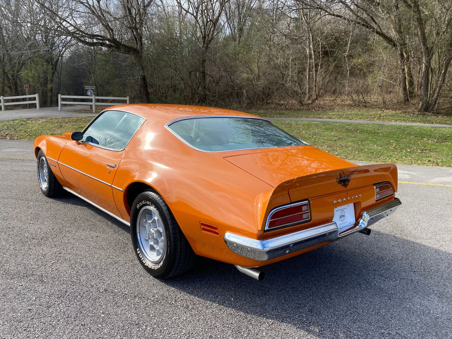 car-20465-1973-pontiac-firebird-formula-40012.jpeg