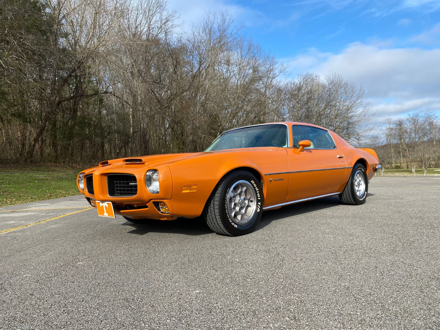 car-20465-1973-pontiac-firebird-formula-40039.jpeg