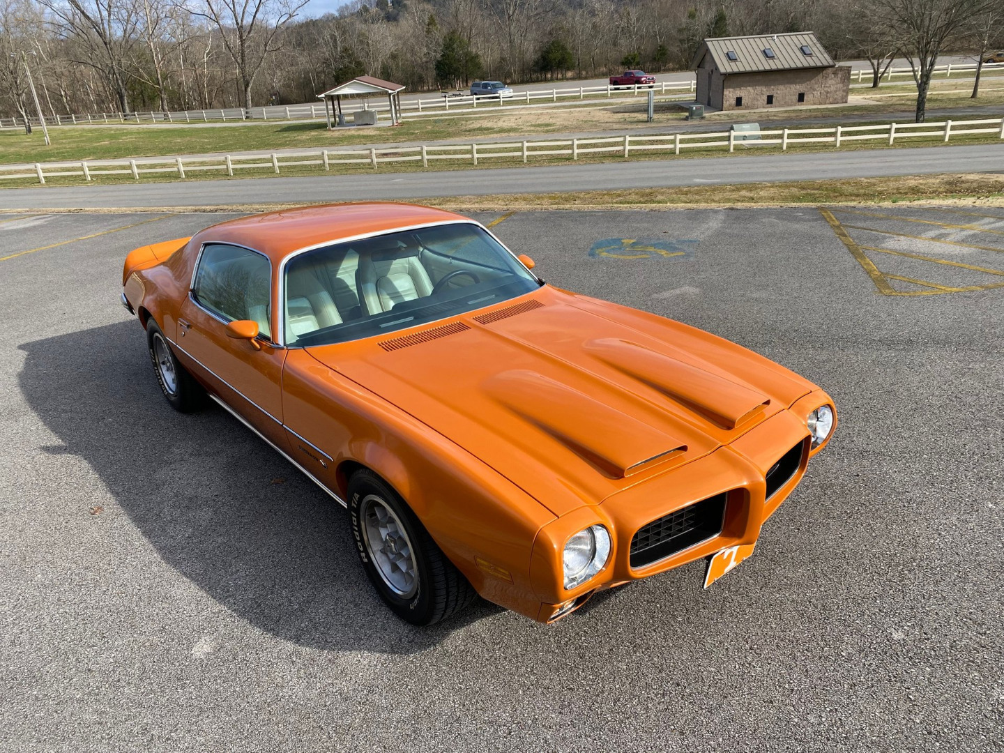 car-20465-1973-pontiac-firebird-formula-40042.jpeg