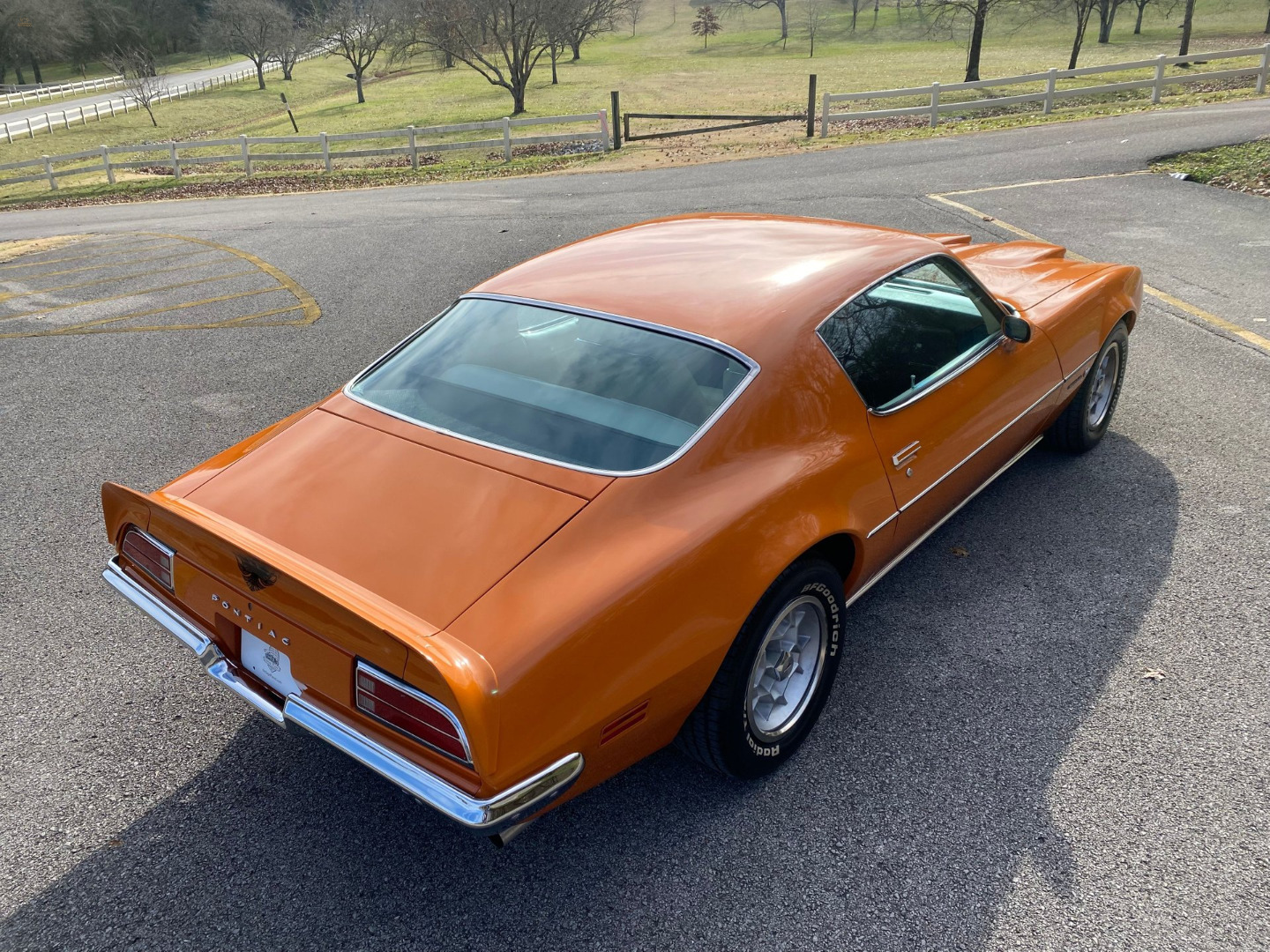 car-20465-1973-pontiac-firebird-formula-40043.jpeg