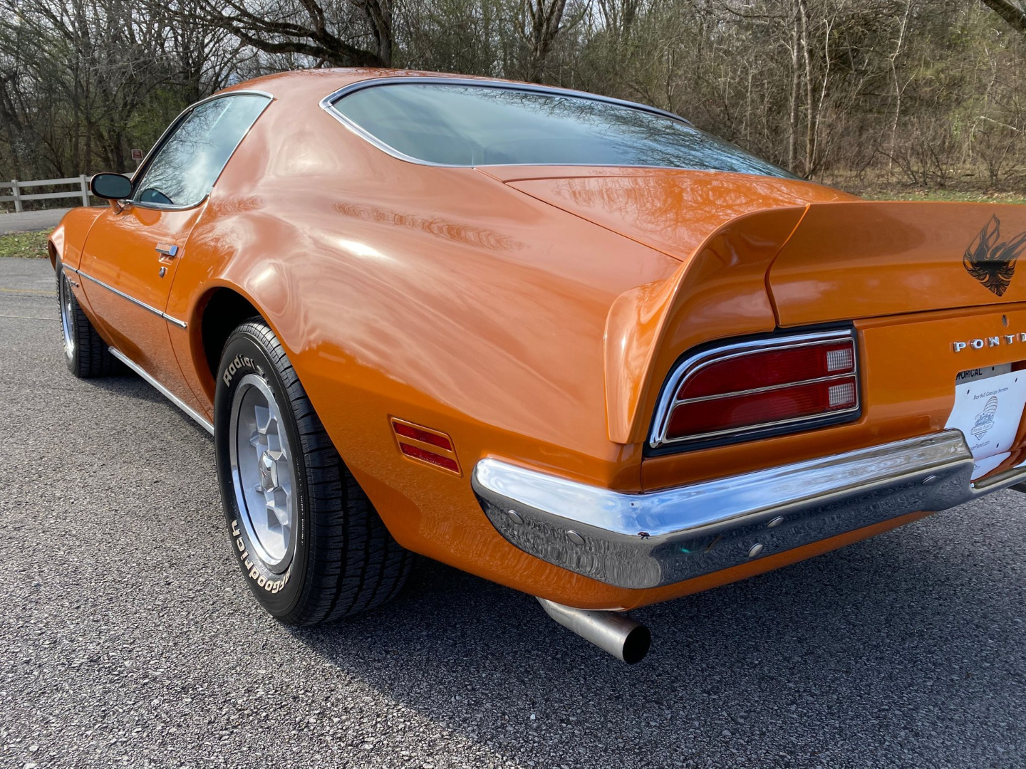 car-20465-1973-pontiac-firebird-formula-40053.jpeg