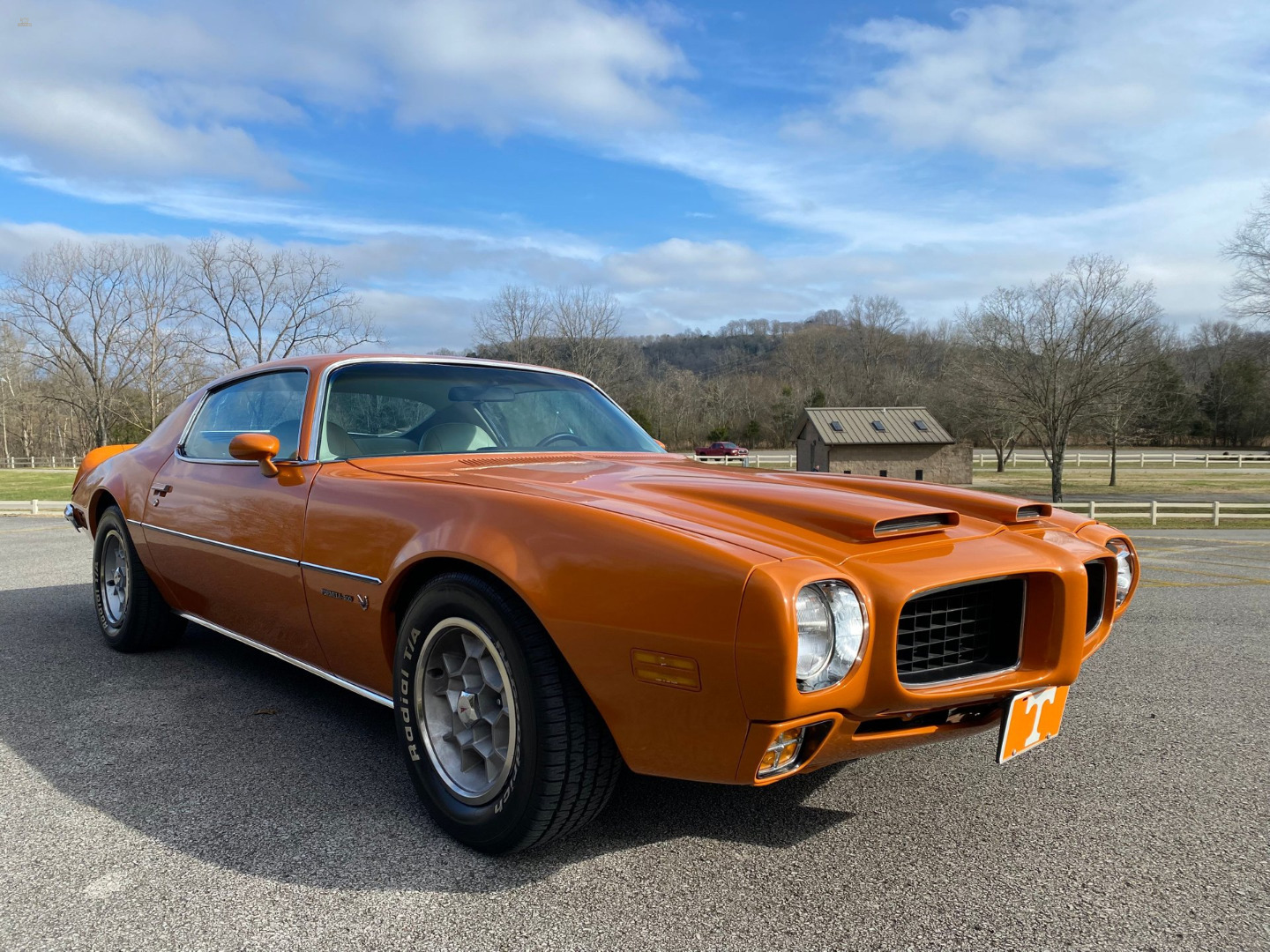 car-20465-1973-pontiac-firebird-formula-4006.jpeg