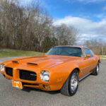 car-20465-1973-pontiac-firebird-formula-40060.jpeg