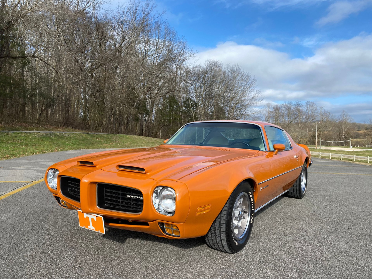 car-20465-1973-pontiac-firebird-formula-40060.jpeg