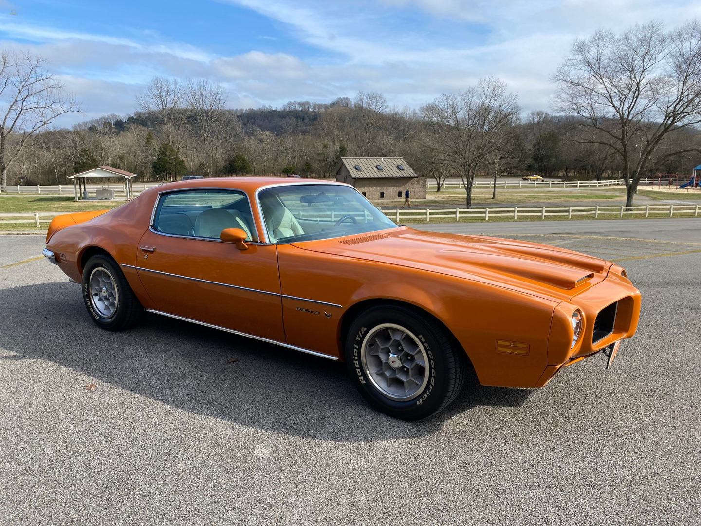 car-20465-1973-pontiac-firebird-formula-4007.jpeg