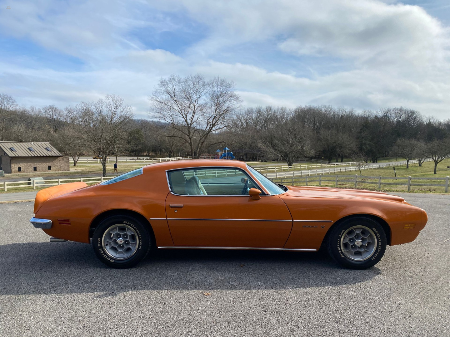 car-20465-1973-pontiac-firebird-formula-4008.jpeg