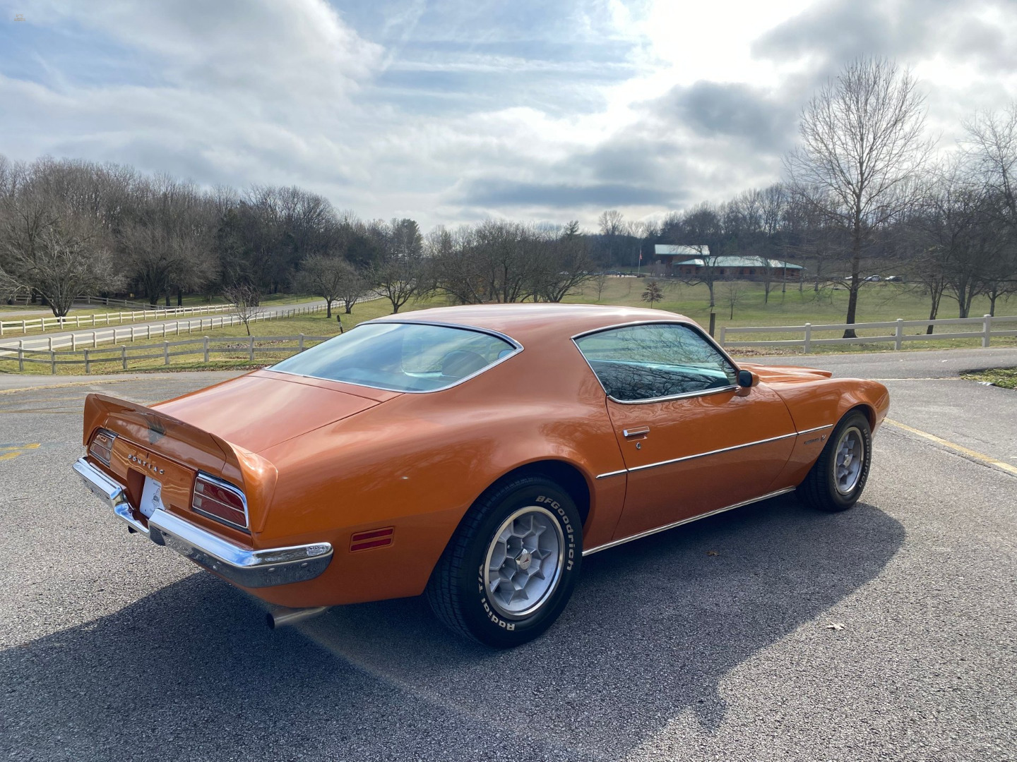 car-20465-1973-pontiac-firebird-formula-4009.jpeg