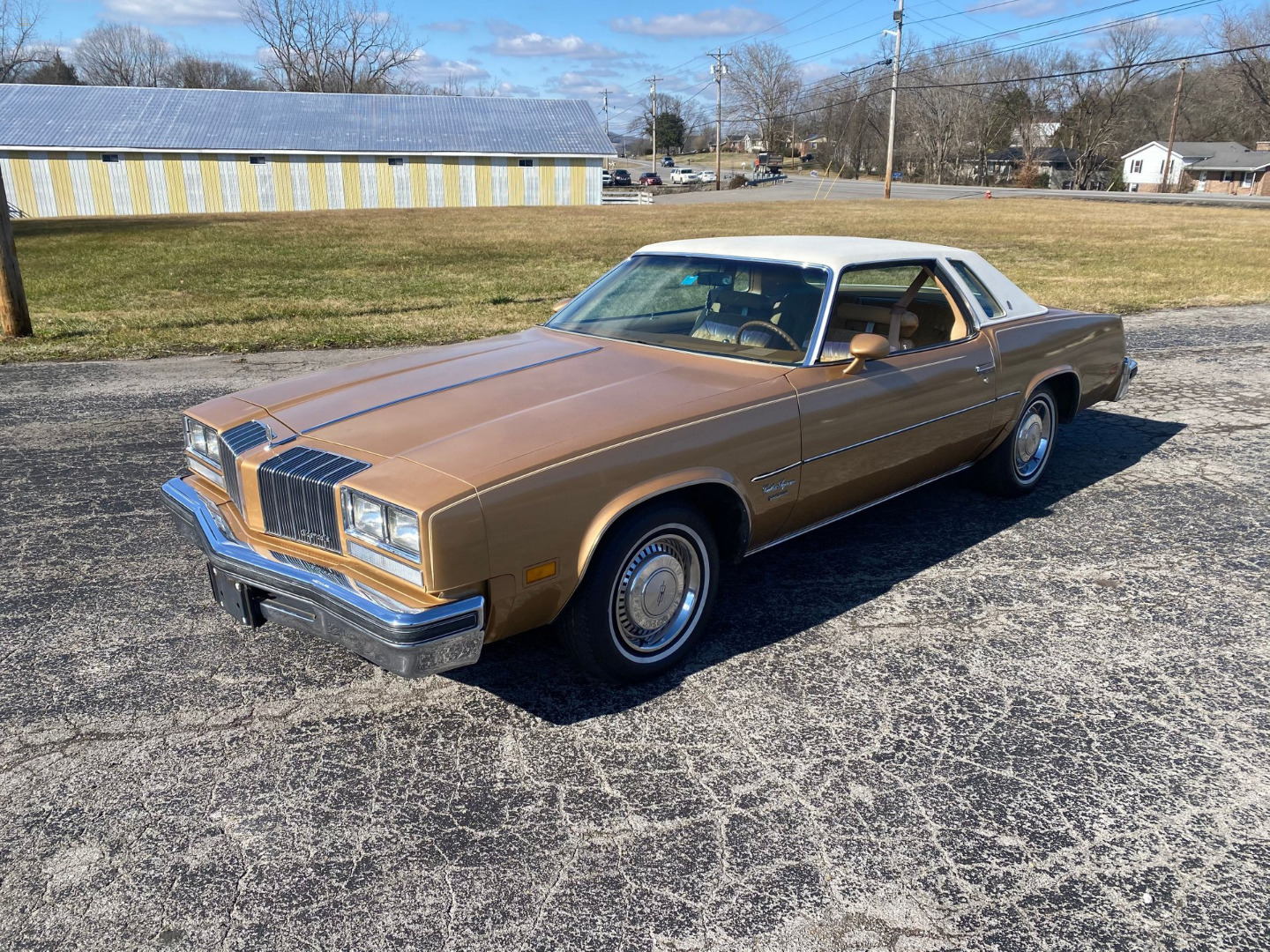 car-20467-1977-oldsmobile-cutlass-brougham.jpeg