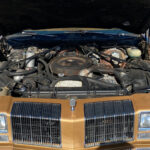 car-20467-1977-oldsmobile-cutlass-brougham3.jpeg