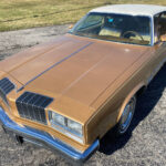 car-20467-1977-oldsmobile-cutlass-brougham36.jpeg