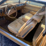 car-20467-1977-oldsmobile-cutlass-brougham4.jpeg