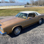 car-20467-1977-oldsmobile-cutlass-brougham9.jpeg