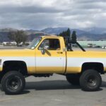 1978 Chevrolet Cheyenne in Los Angeles, California