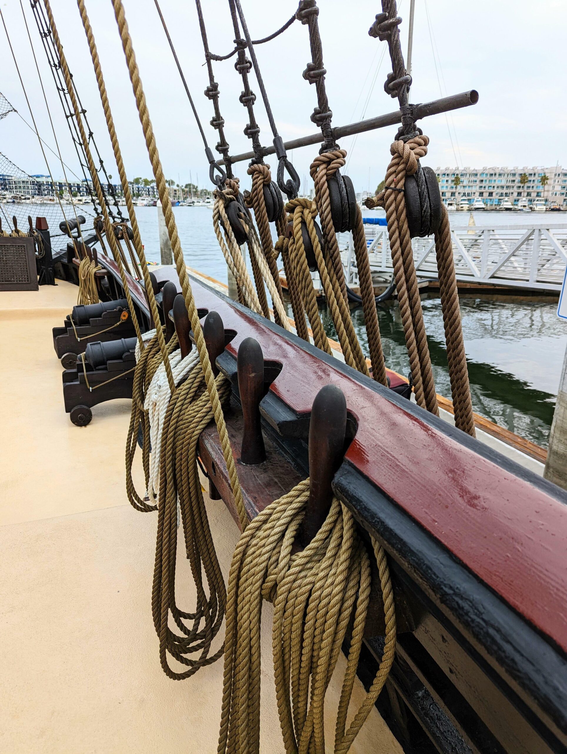 yachts-98565-379143_11.jpg