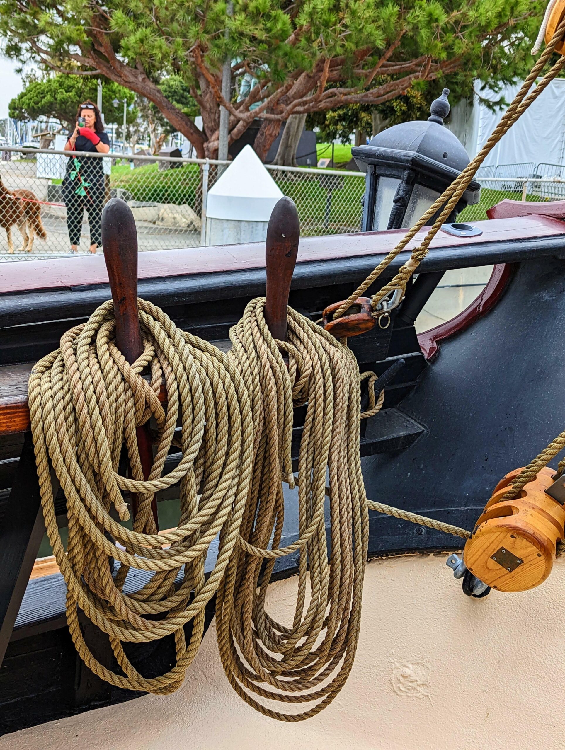 yachts-98565-379143_24.jpg