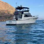 yachts-98578-379157_1.jpg