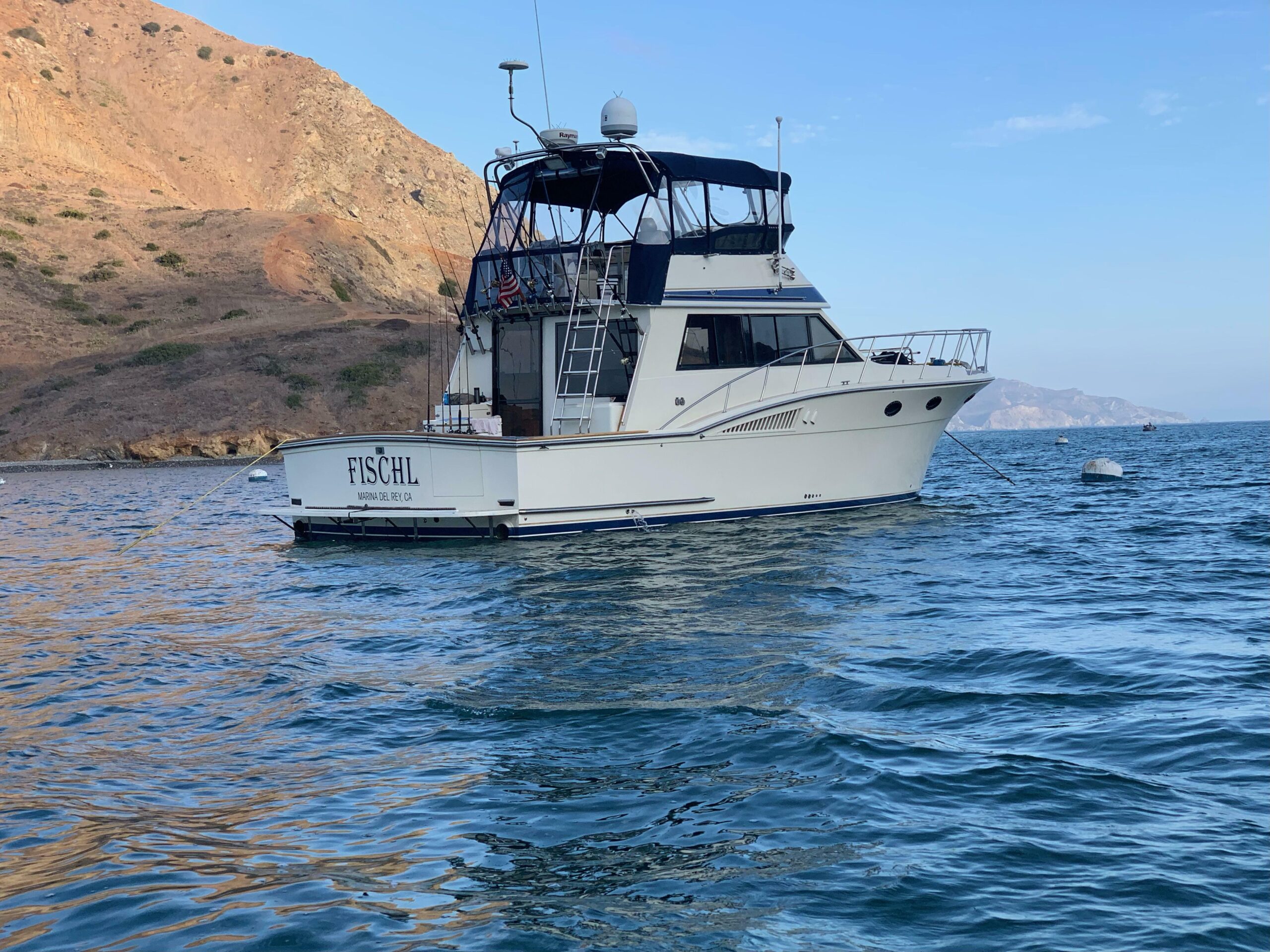 yachts-98578-379157_1.jpg