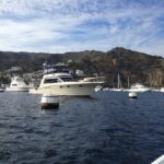 yachts-98578-379157_2.jpg