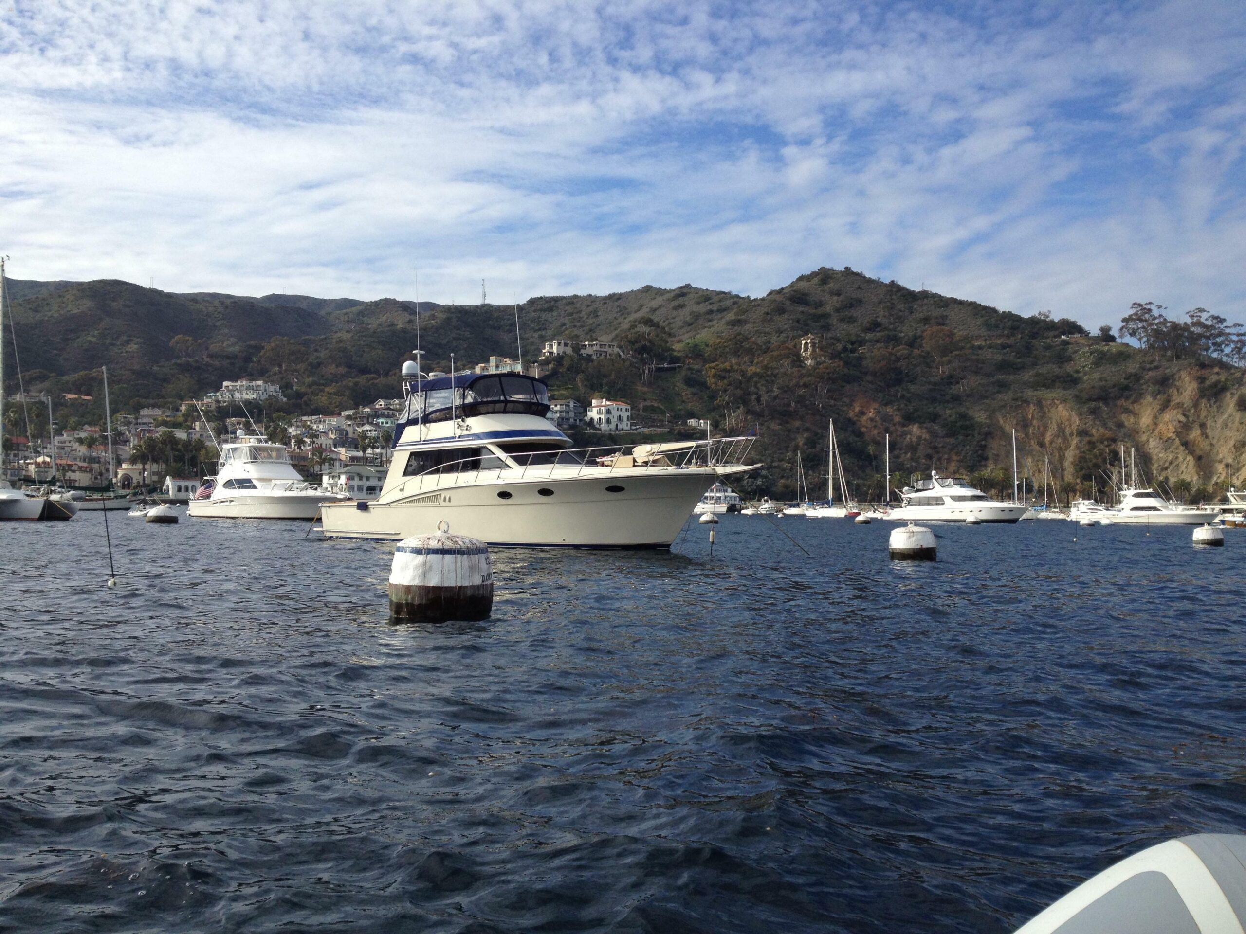 yachts-98578-379157_2.jpg