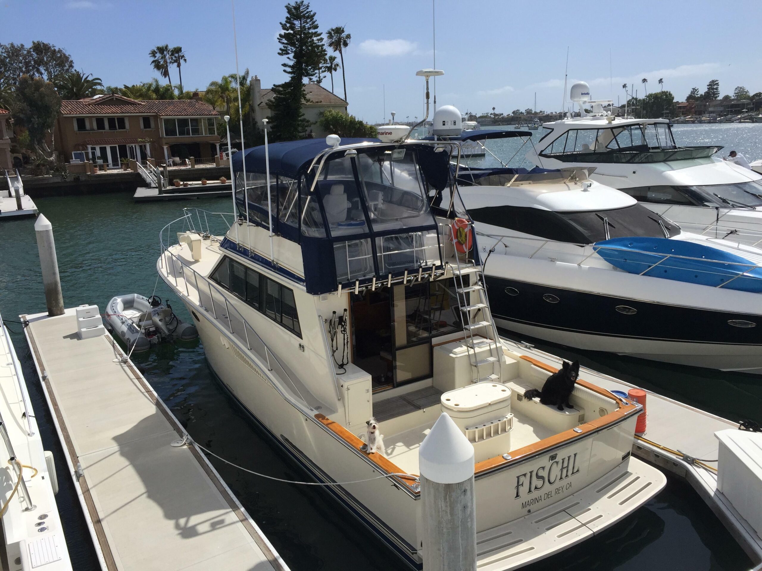 yachts-98578-379157_3.jpg