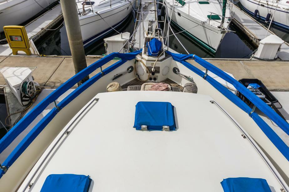 yachts-98581-379160_16.jpg
