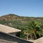 properties-25877-country-house-for-sale-in-con-es530-149352-29.webp