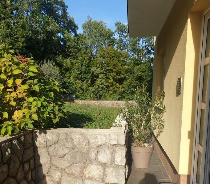 panorama-scouting-A2796-7