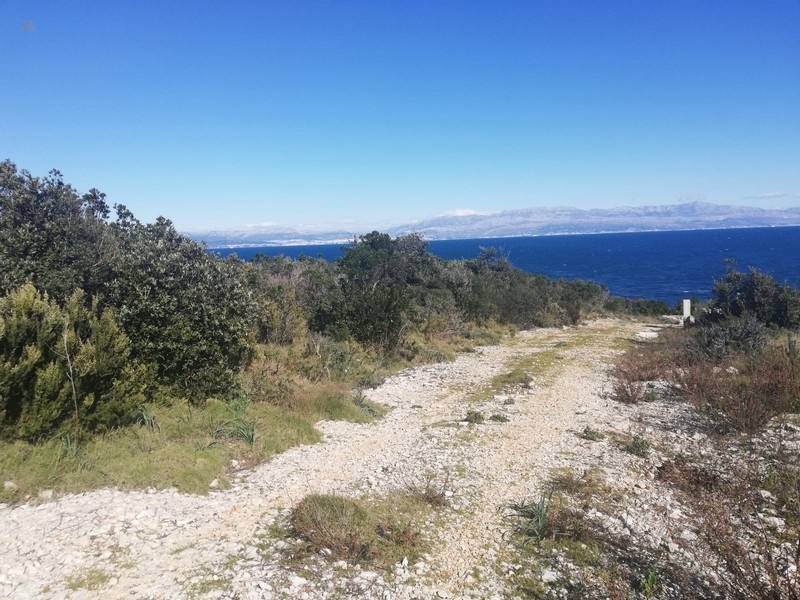 panorama-scouting-G416-4