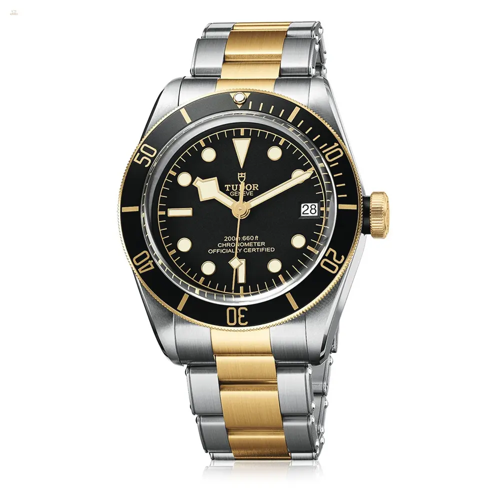 watches-174820-Tudor_Heritage_Black_Bay_S_G.webp