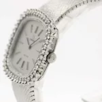 watches-187264-14223339-gfmdg7hd9k7n40zhzhi9duu7-ExtraLarge.webp
