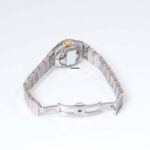 watches-315317-26949992-3l69rjpr8csaeok62c4jvt1z-ExtraLarge.jpg