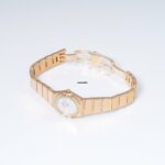 watches-315326-26949990-ta3zqdvymb3o81tzwgeyyq0p-ExtraLarge.jpg